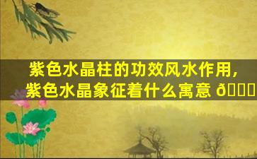 紫色水晶柱的功效风水作用,紫色水晶象征着什么寓意 🐈
